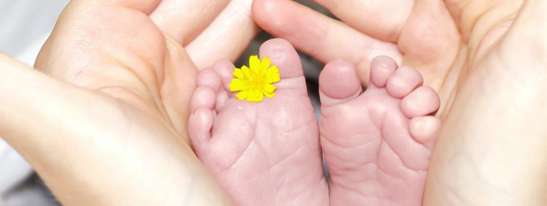 Los 5 hábitos de una familia con inteligencia emocional